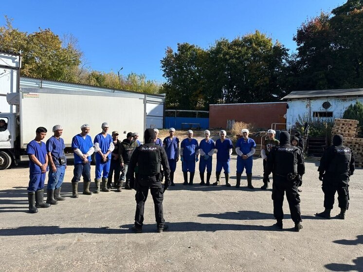 В Госдуме сделали заявление из-за нарушений при тестировании мигрантов