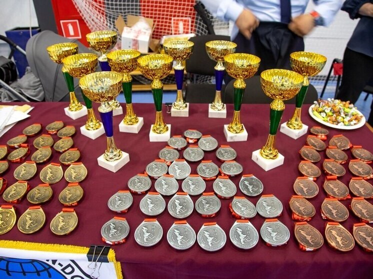 Турнир по тхэквондо, посвященный памяти герою России прошел в Благовещенске