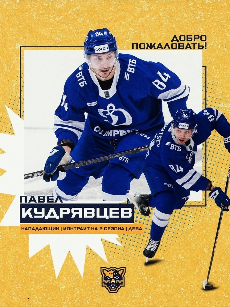 Бывший нападающий «Динамо» пополнил состав ХК «Сочи»