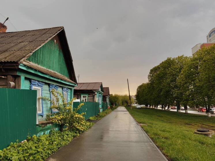 В Пензенской области 4 июня ожидается ухудшение погоды: в МЧС предупредили о грозе и сильном ветре