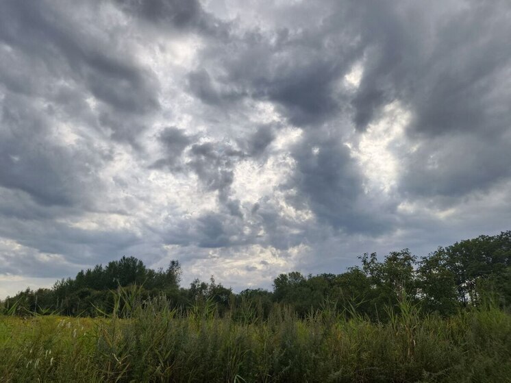 Суд вернул более 14 гектар земли в муниципальную собственность Хабаровского края