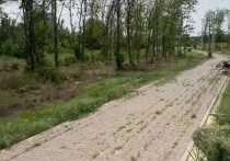 В посёлке Возрожденный Щепкинского сельского поселения Аксайского района сквер зарос травой