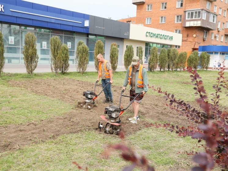 В центре Тулы появится новая зеленая зона