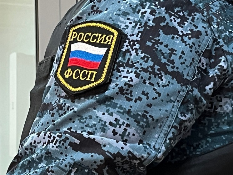 В Энгельсе предприниматель вернул 12 миллионов за незаконные поставки мяса
