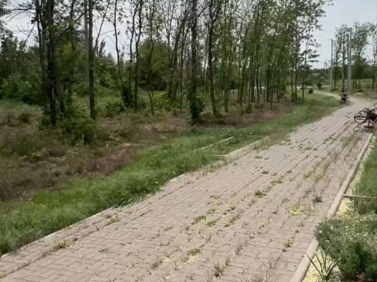 В посёлке Возрожденный Щепкинского сельского поселения Аксайского района сквер зарос травой