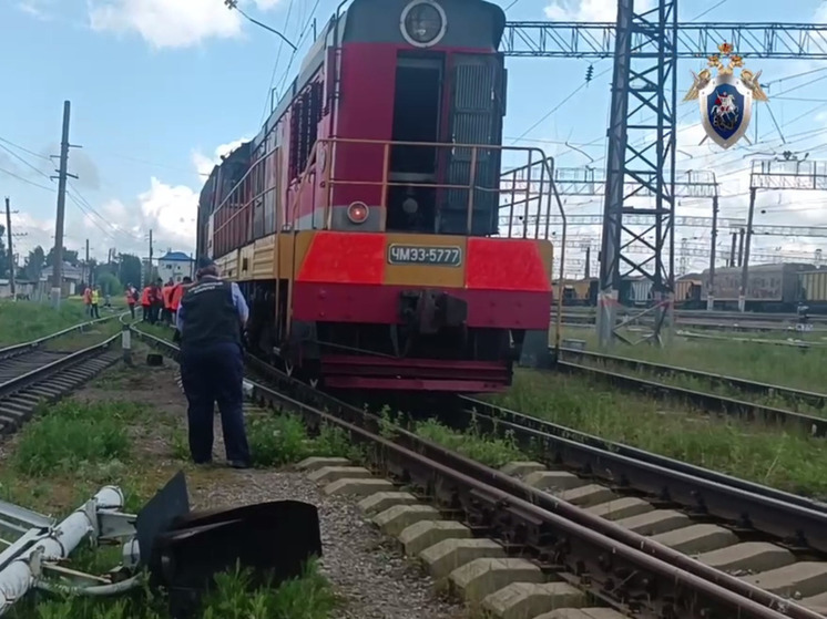 В Челябинской области вагон грузового поезда сошел с рельсов