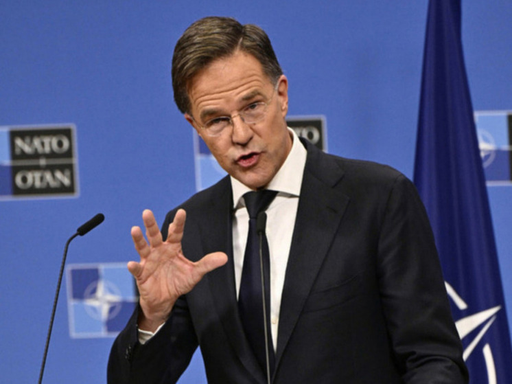 Боуз обвинил Рютте в изменении позиции по членству Украины в НАТО