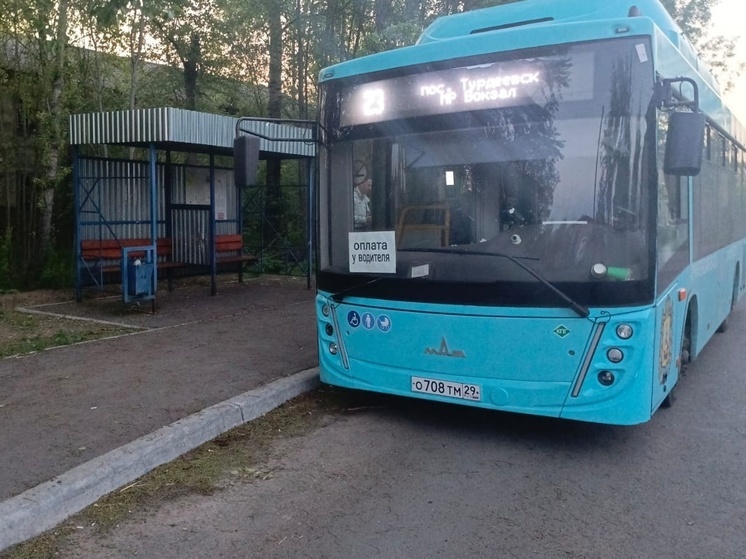 Под Архангельском неизвестные обстреляли автобус маршрута №23