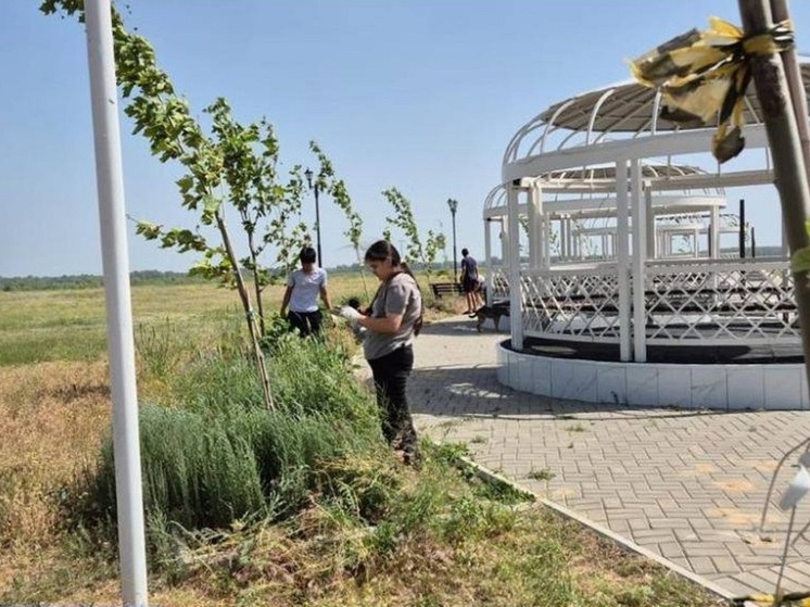 С начала года в Калмыкии трудоустроено свыше 190 подростков