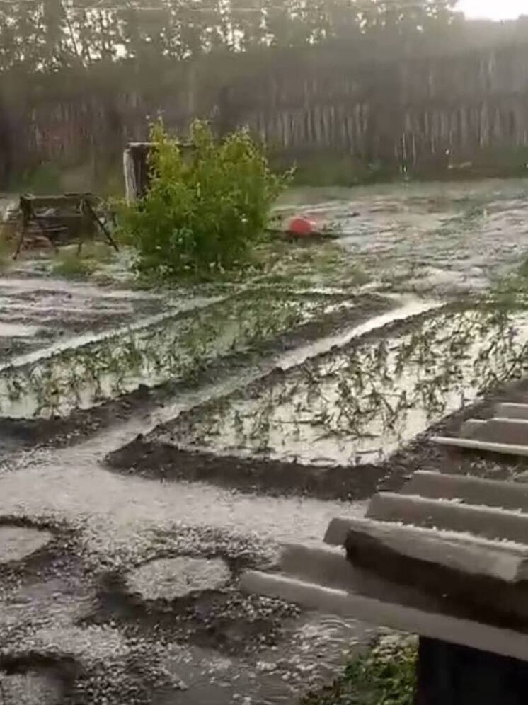 Дачники Новосибирска понесли большие потери из-за мощного града