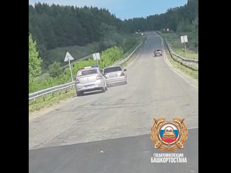 В Башкирии автоинспекторам пришлось применить оружие для остановки нарушителя