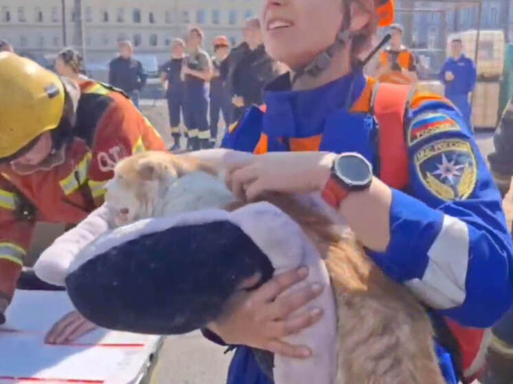 В Петербурге загорелся доходный дом Смирнова на набережной Обводного канала