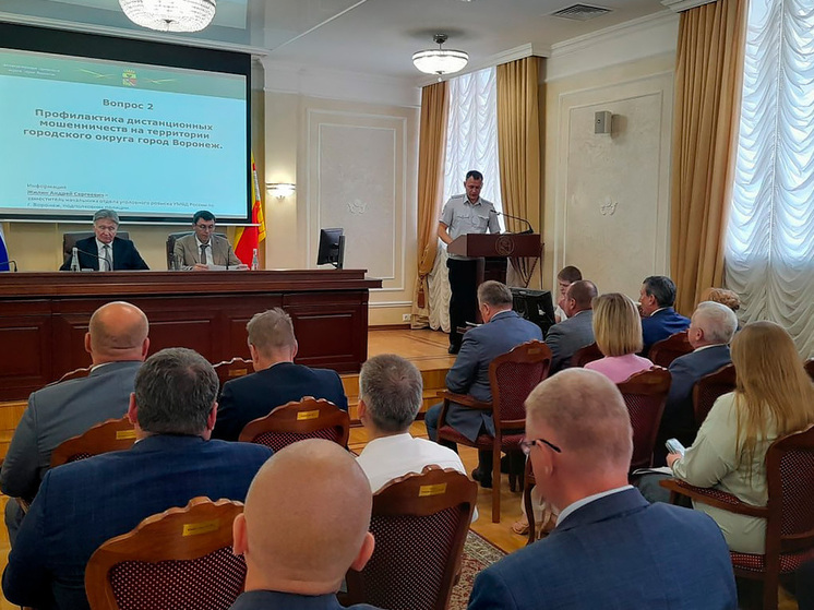 В Воронеже 800 человек стали жертвами дистанционных мошенников