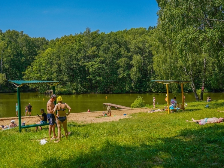 МЧС составило список тульских пляжей, пригодных для купания