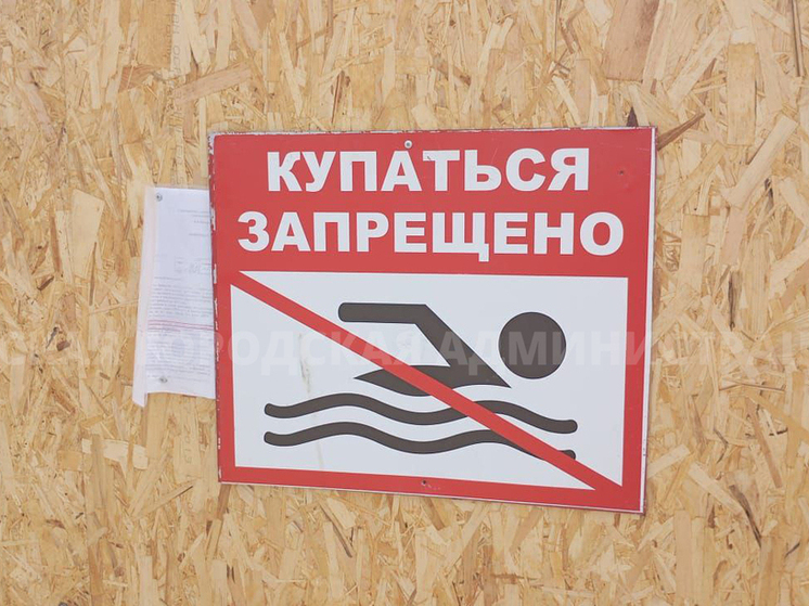 Два пляжа в Брянске закрыли после проверки Роспотребнадзора
