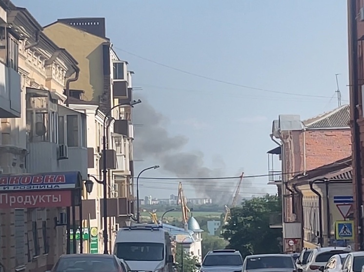 На севере Батайска полыхает крупный пожар