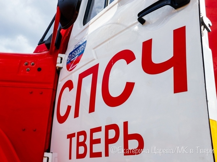 Сотрудники МЧС ликвидируют пожар на Петербургском шоссе в Твери