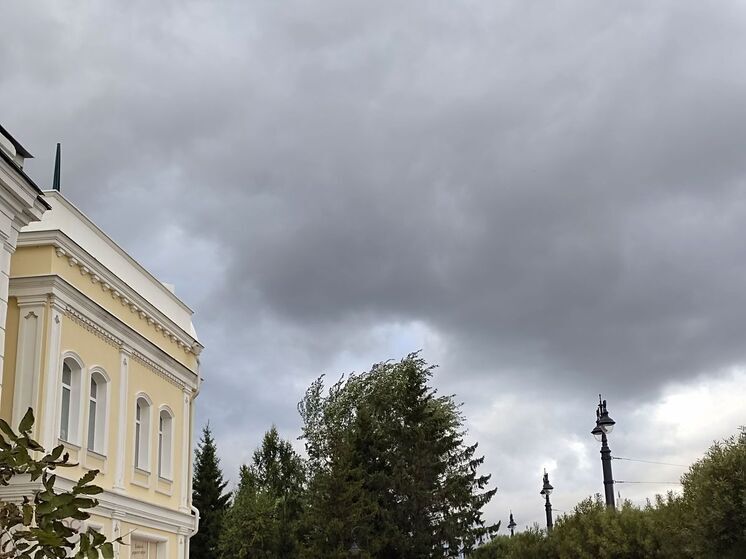 Коммунальные службы в Омской области перешли в режим повышенной готовности из-за непогоды