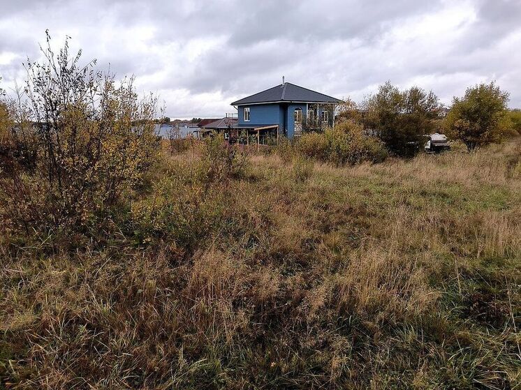 Правительство России утвердило признаки неосвоенных земельных участков