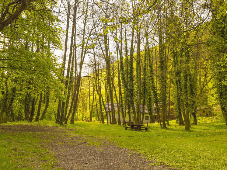 Синоптики 4 июня обещают в Смоленске малооблачную погоду