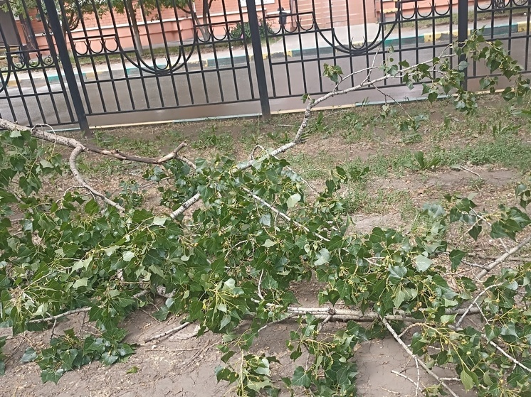 Оренбург приходит в себя после шторма