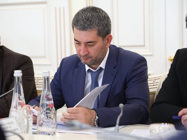 В Дагестане проверят законность подключения теплиц к газовым сетям