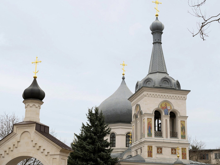 Беременная женщина из Новосибирска рассказала о борьбе с опасным вирусом Коксаки