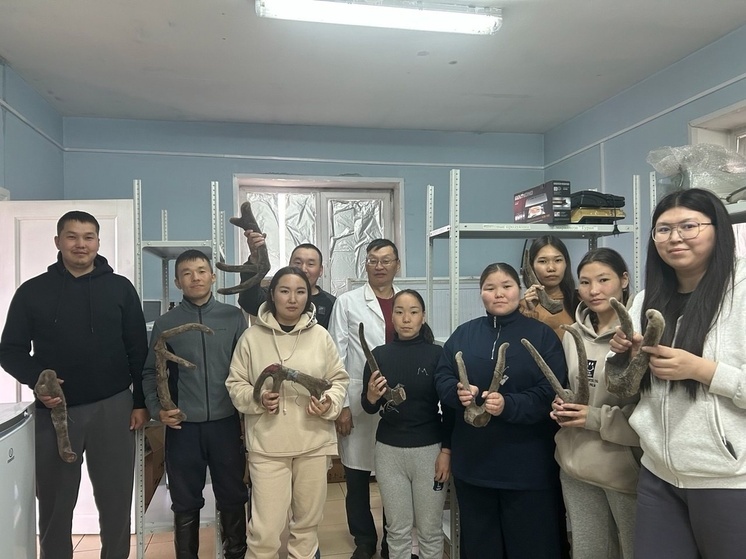 Студенты ТувГУ посетили мастер-класс по приготовлению пантогематогена