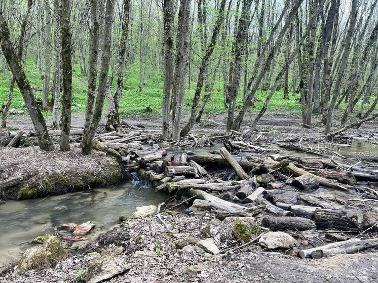 Роспотребнадзор: за неделю клещи покусали 325 жителей Ставрополья