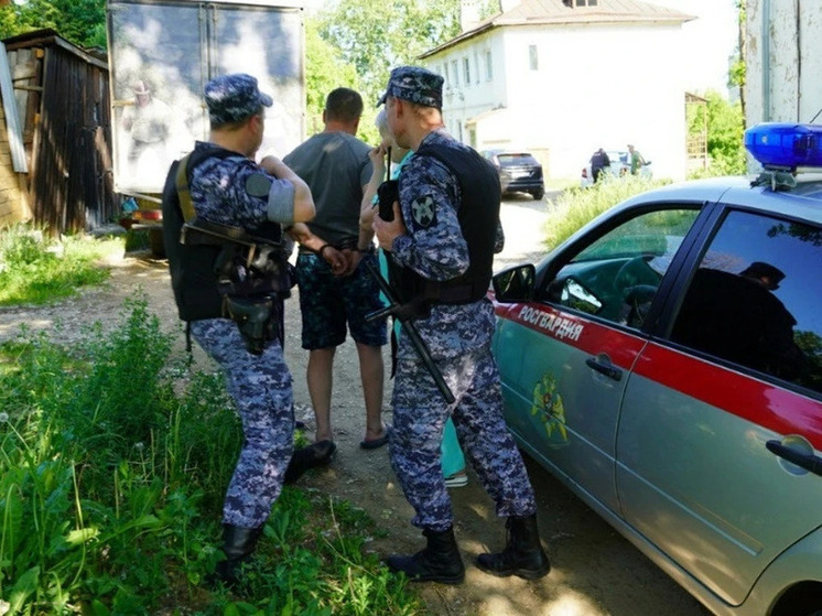 Во Владимире задержан мужчина, стрелявший в окне многоэтажки
