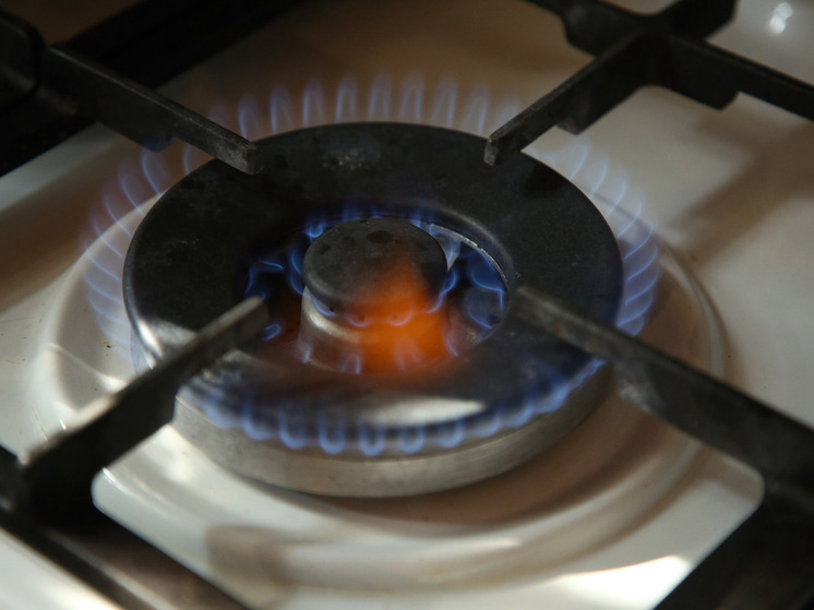 Politico: Франция и Бельгия против запрета на импорт российского газа в ЕС