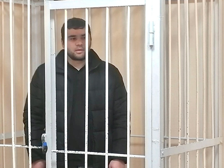 Новосибирский мигрант-мясник осужден на 7 лет за оскорбление русских и президента