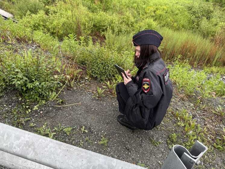 Саморезы на дороге повредили шины авто: полицейские выясняют обстоятельства в Приморье