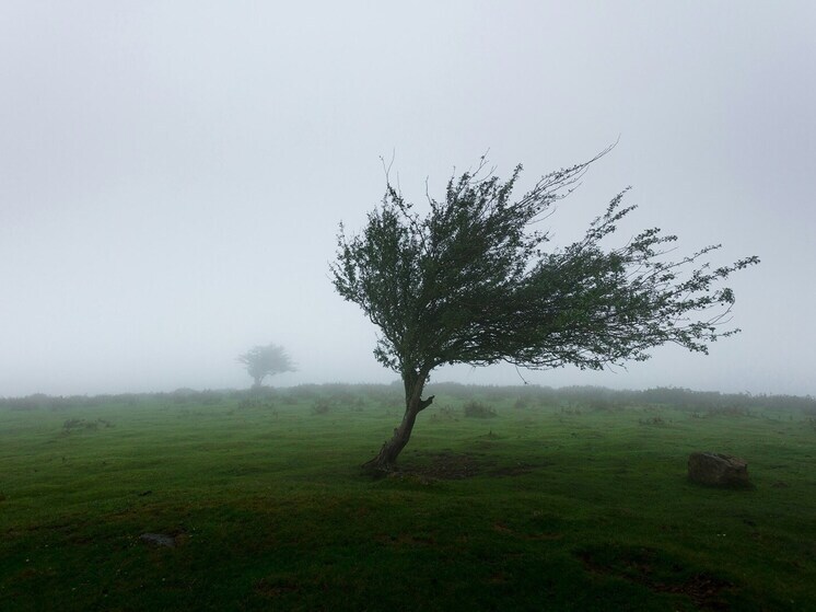 Se pronostica un deterioro significativo de las condiciones meteorológicas en Jakasia, la región de Omsk y el Krai de Krasnoyarsk.