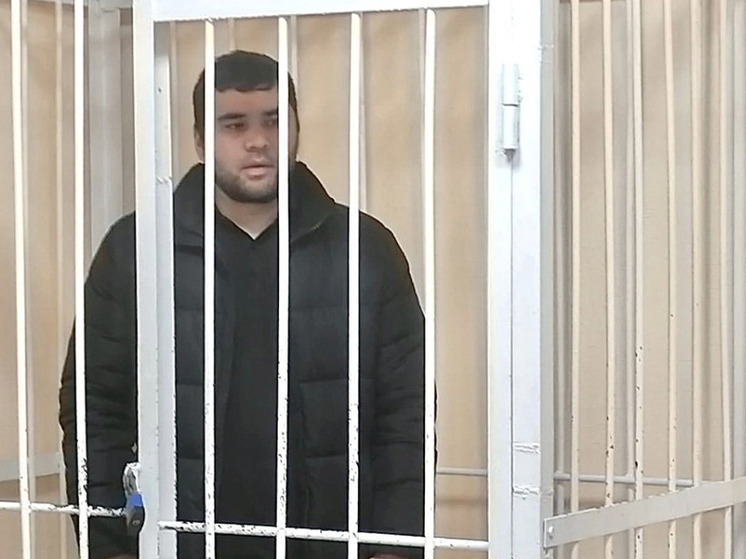 Новосибирский областной суд подтвердил приговор гражданину Таджикистана за дискредитацию российских ВС РФ