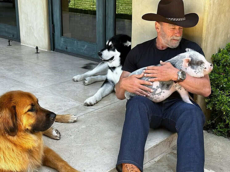 Арнольд Шварценеггер нашёл необычный способ борьбы с возрастным кризисом