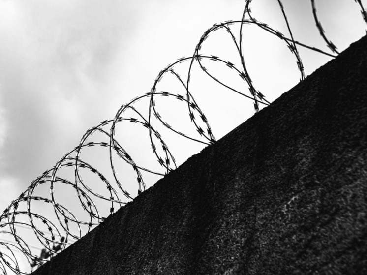 Новосибирский областной суд подтвердил приговор гражданину Таджикистана
