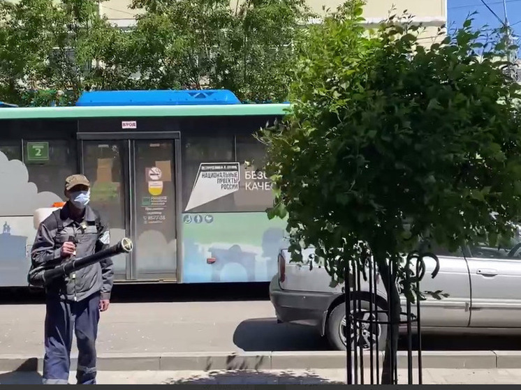 В Улан-Удэ началась обработка яблонь от опасного вредителя