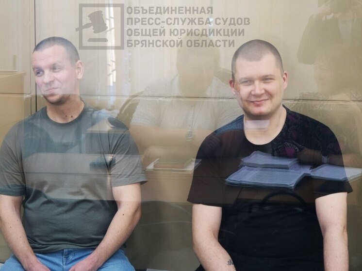 Брянский суд отправил блогера Демьяненко в колонию строгого режима