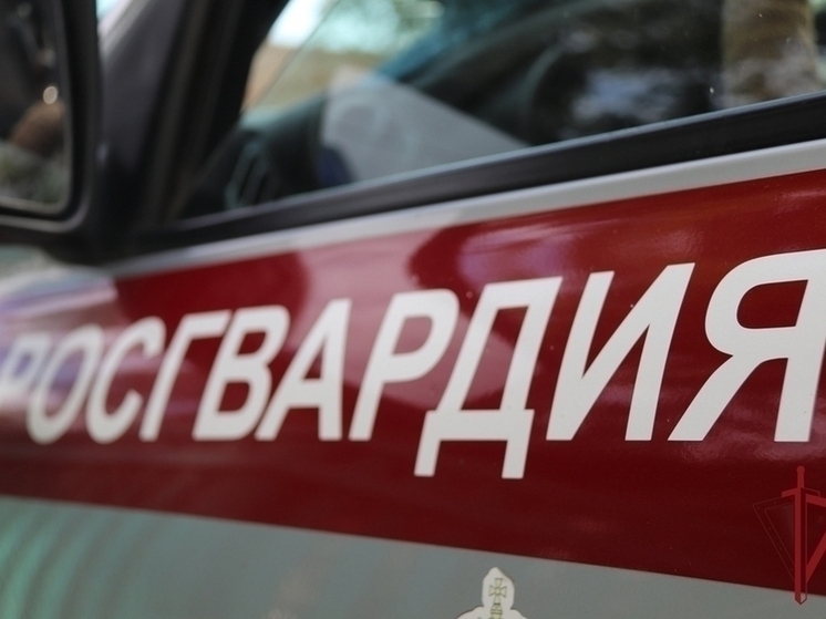 Техникум обследовали в Чите из-за сообщений о подозрительном предмете