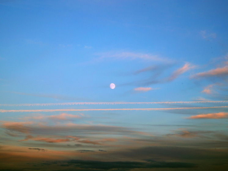 Клубничная Луна прольет денежный дождь: три знака ждет финансовый прорыв 11 июня