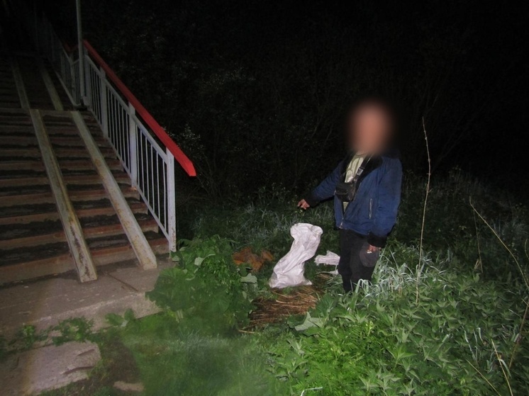 В Тосно задержали вора-рецидивиста, таскавшего запчасти из ремонтного депо
