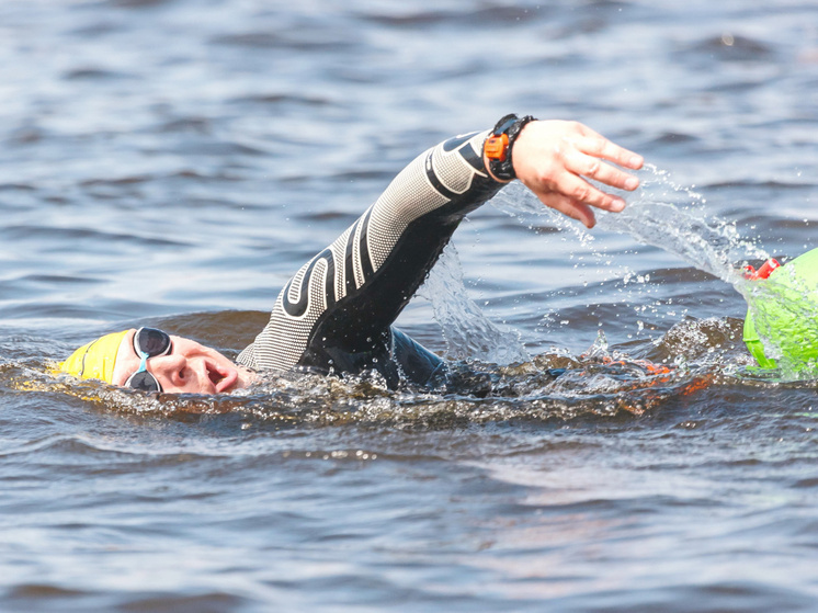 В Ивановской области пройдет Кубок Чемпионов Swimсup Open Water