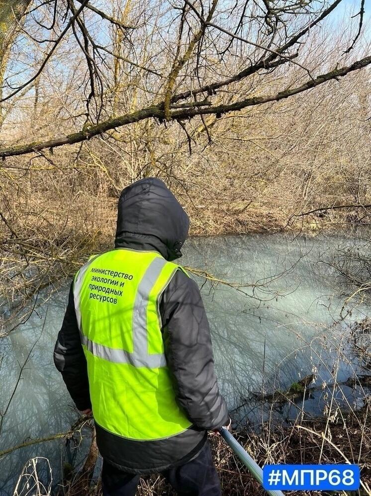 В минэкологии рассчитали вред от загрязнения и гибели рыб в пруду Тамбовского округа