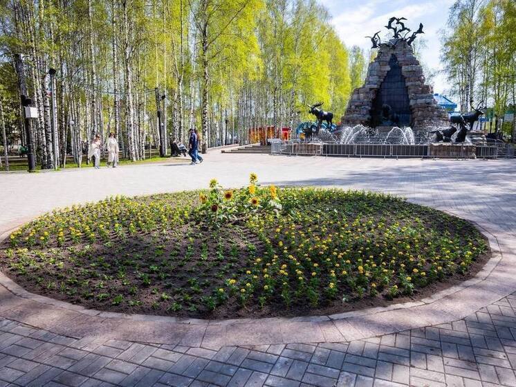 Ханты-Мансийск превратится в цветочную сказку: город украсят 266 тысяч растений