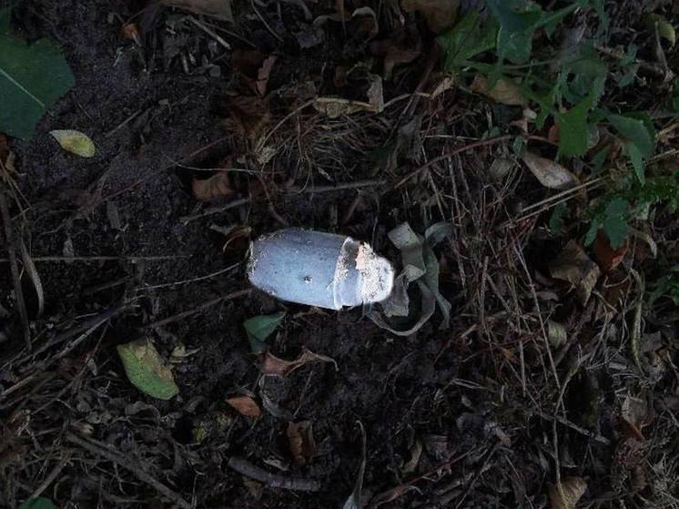 Белгородский губернатор: в мае было обезврежено 525 взрывоопасных предметов