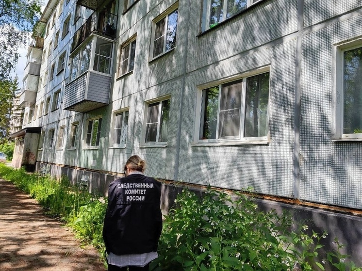 В Чудово со второго этажа выпал семилетний ребенок