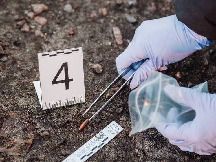 В ЛНР будут судить мужчину за серию особо тяжких преступлений