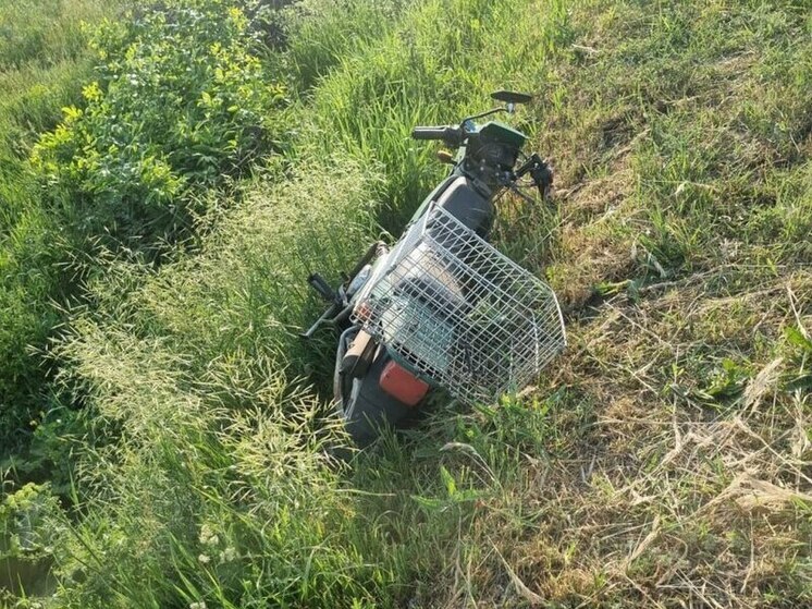 Мужчина на мопеде погиб под Воронежем, нарушив ПДД