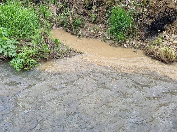 Золотодобытчиков уличили в загрязнении еще одной реки в Хакасии